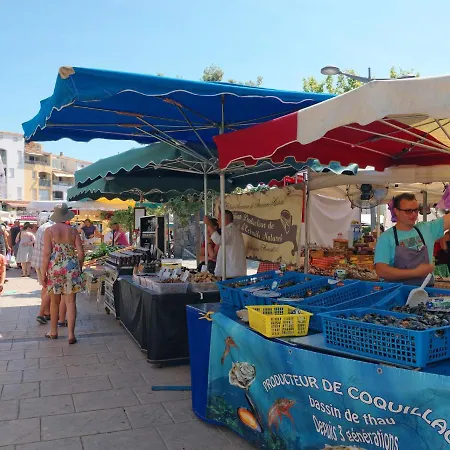 Les Goelands-1 By Interhome * Agde